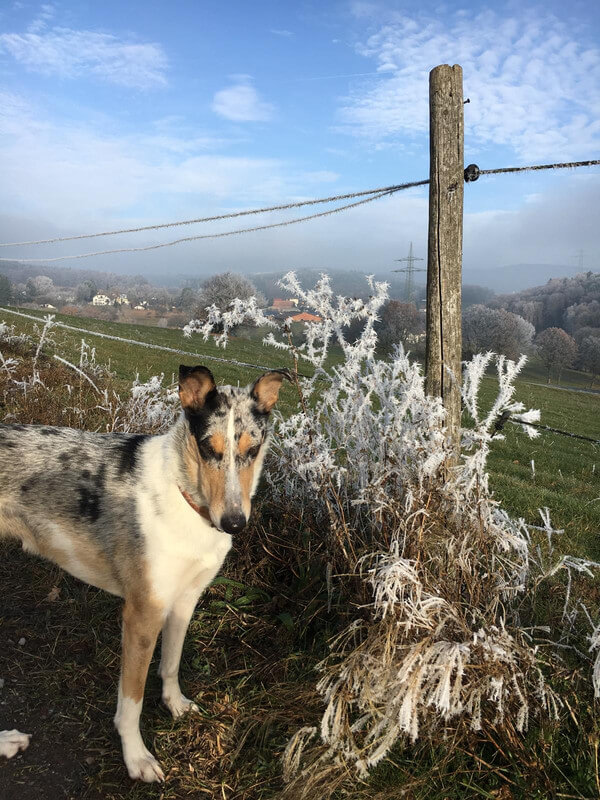 Radionik und Energiearbeit in Verbindung mit Natur und feiner Wahrnehmung